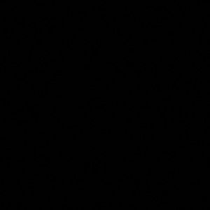 Meet your Posher, Oscar